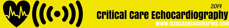 Critical Care Echocardiography